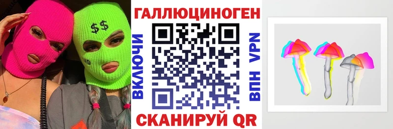 Галлюциногенные грибы Psilocybe  Кисловодск 