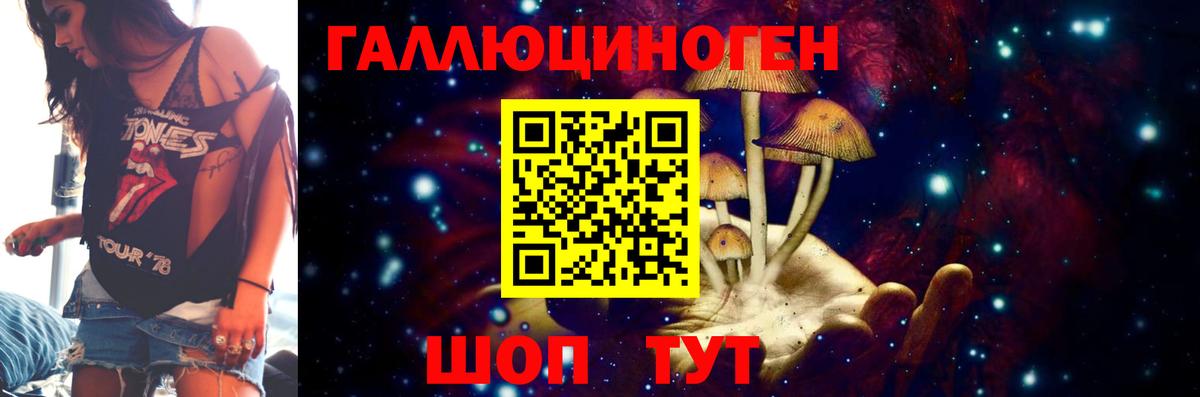 Кисловодск  Псилоцибиновые грибы GOLDEN TEACHER  Вход с VPN 
